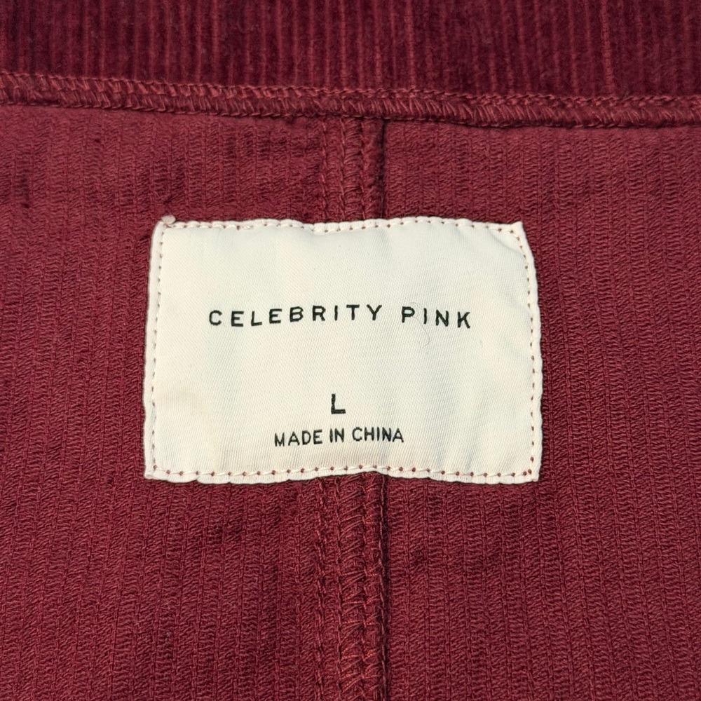 Celebrity Pink Maroon Corduroy Dress - Picture 6 of 7